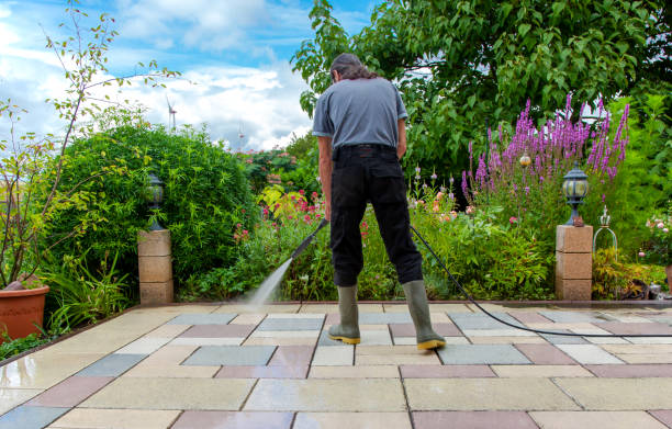 Best Animal Enclosure Cleaning  in Magnolia, MS